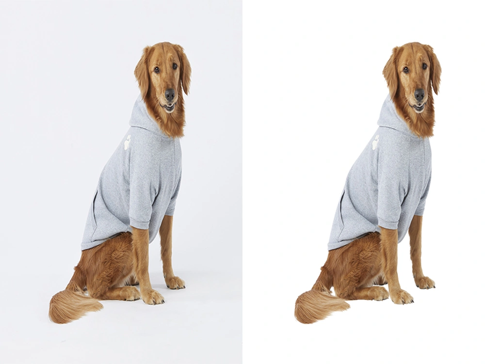 Professional image masking for hair, fur, and complex product edges